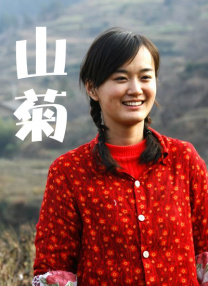 内人指的是什么人
